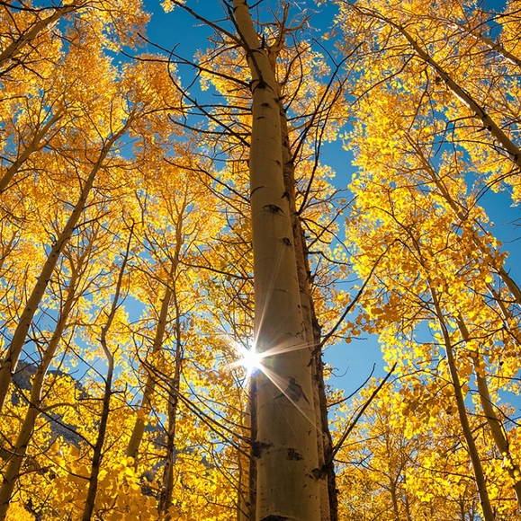 Meet your Posher, Min - Picture 1 of 1